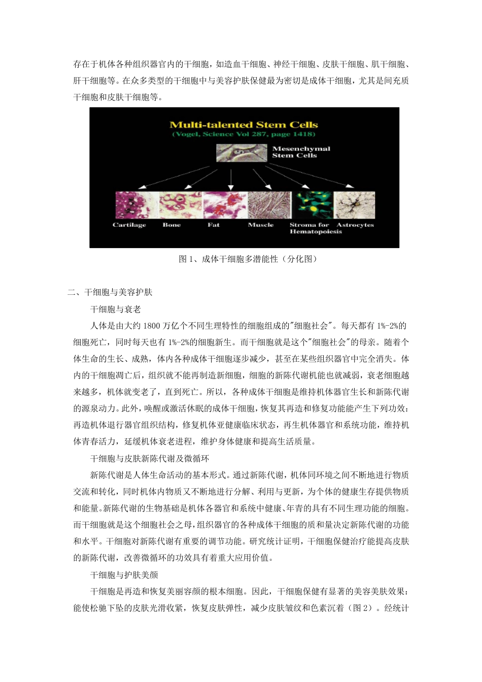 干细胞在美容中的应用及展望_第2页