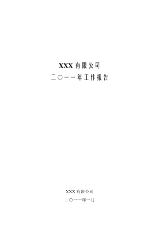 年工作总结报告总经理、CEO模板