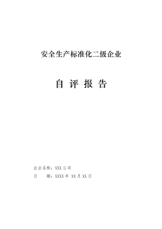 年度安全生产标准化二级企业自评报告