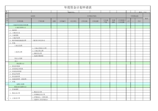 年度资金计划申请表