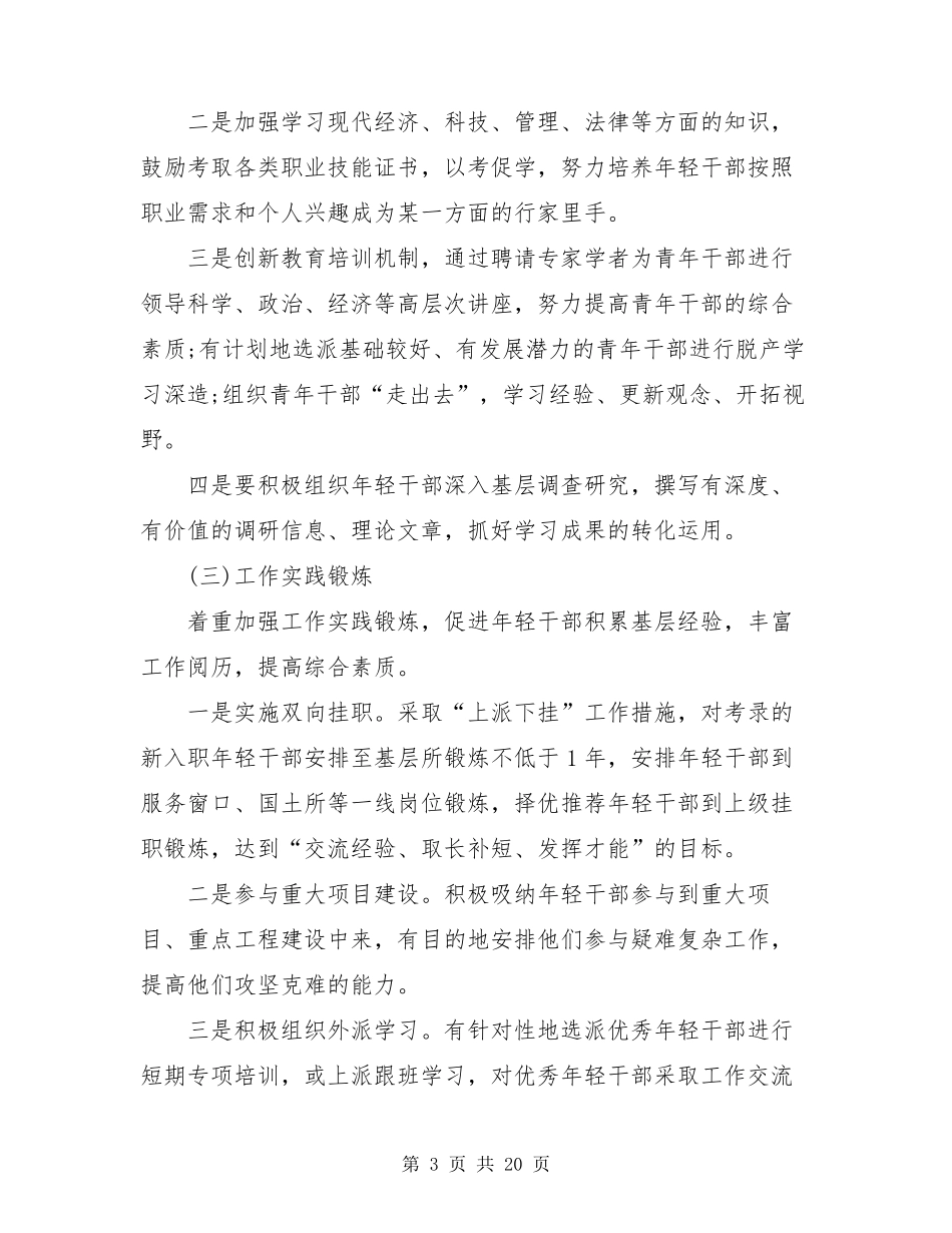 年轻干部培养方案2020_第3页
