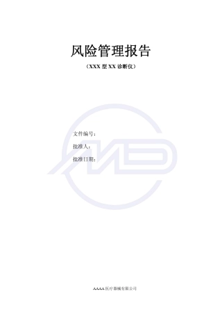 新版风险管理报告(03162008)