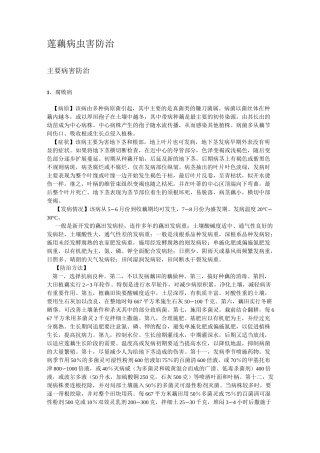 莲藕病虫害防治