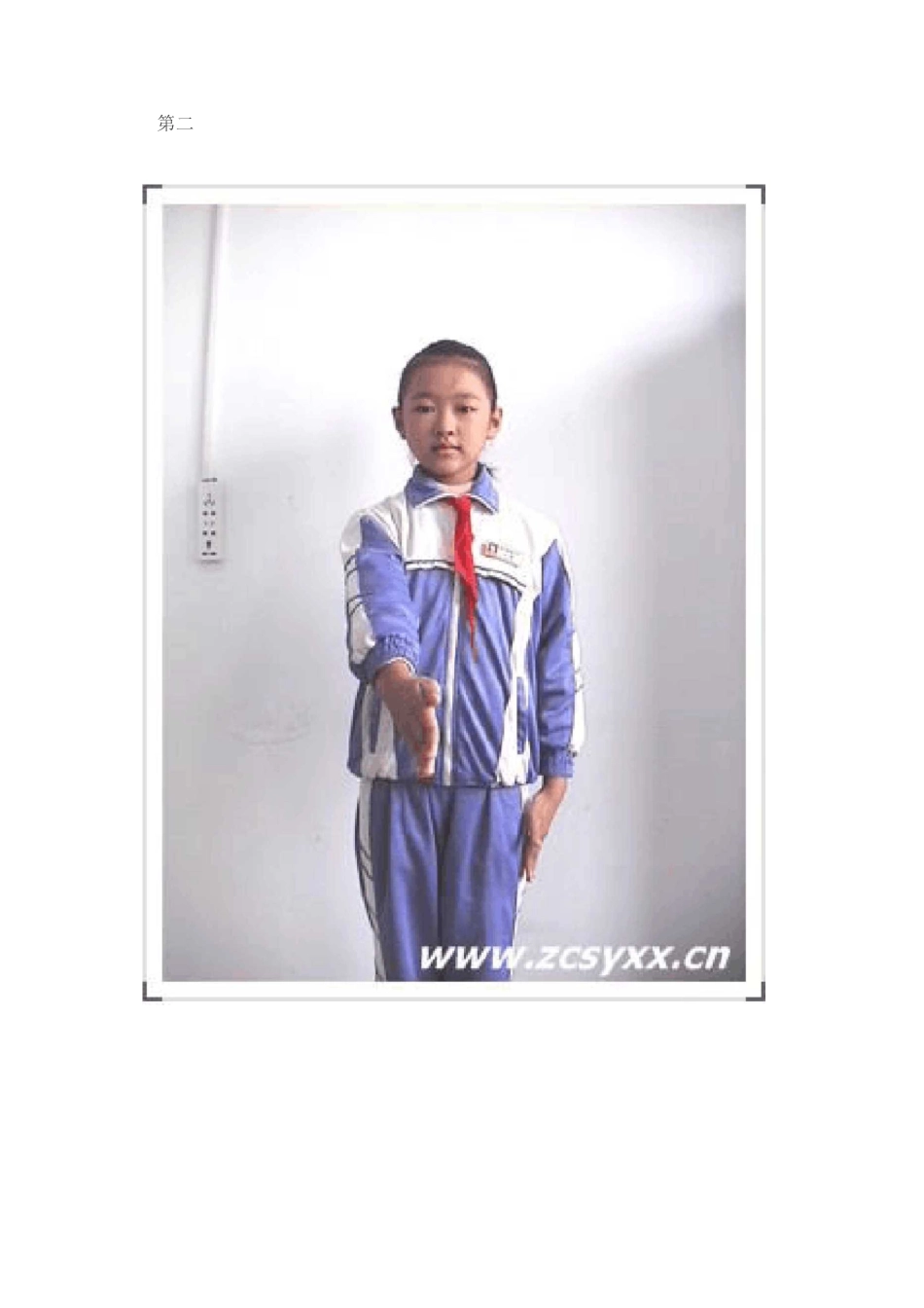 如何敬标准的队礼_第2页