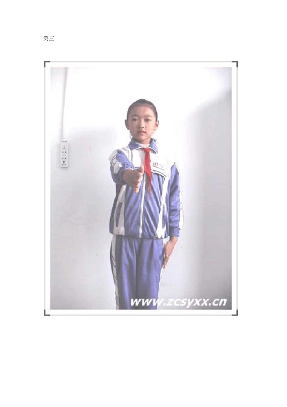 如何敬标准的队礼_第3页