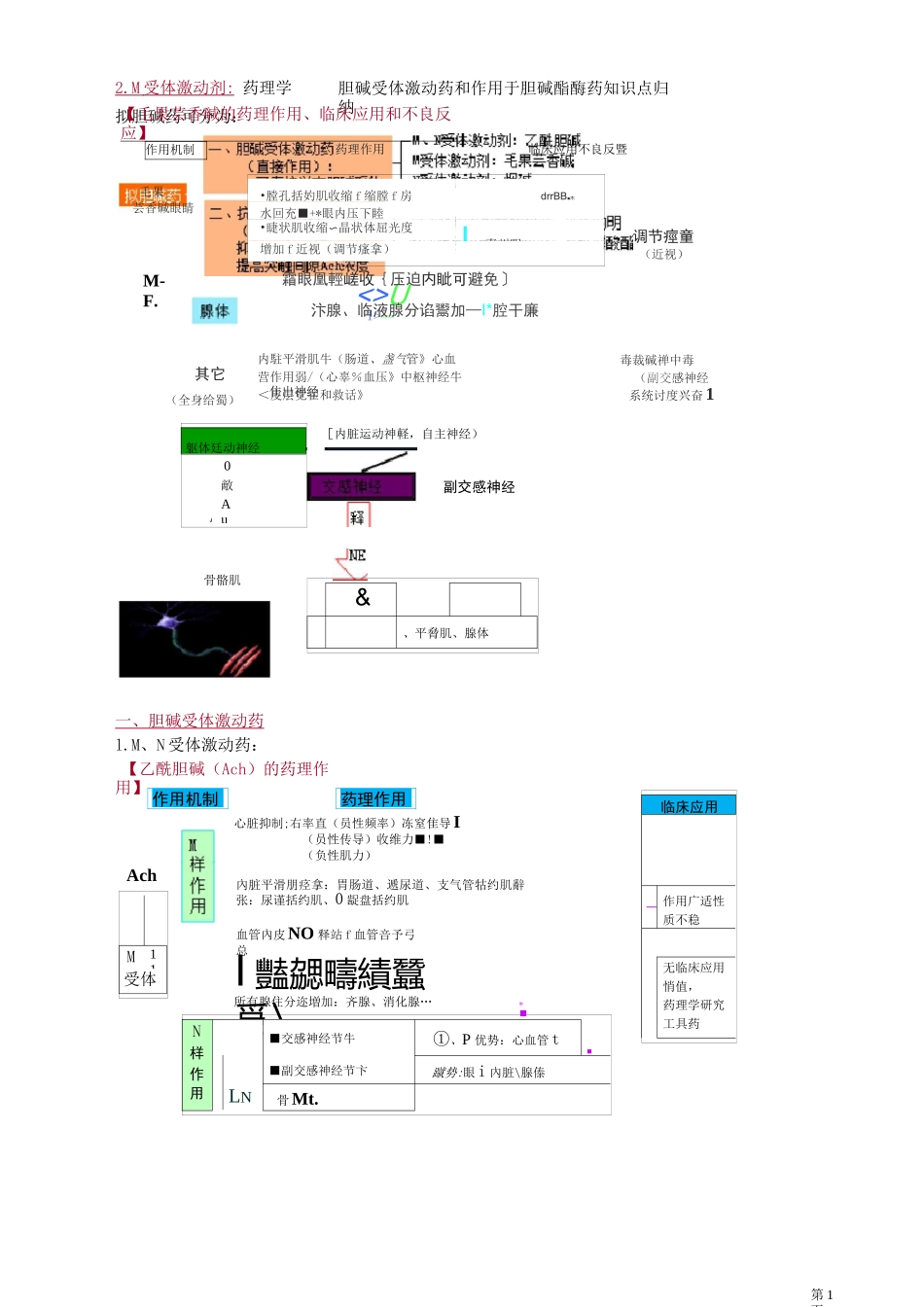 药理学—— 胆碱受体激动药和作用于胆碱酯酶药知识点归纳_第1页