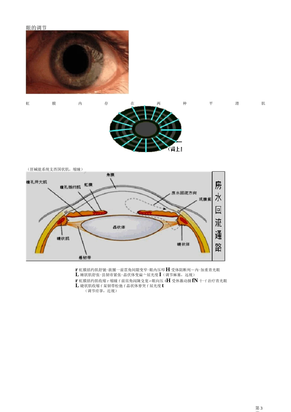 药理学—— 胆碱受体激动药和作用于胆碱酯酶药知识点归纳_第3页