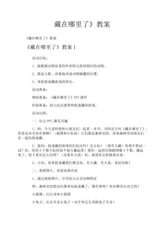 《藏在哪里了》教案