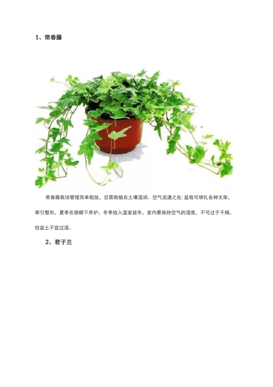 常见的二十种植物的养护方法_第1页