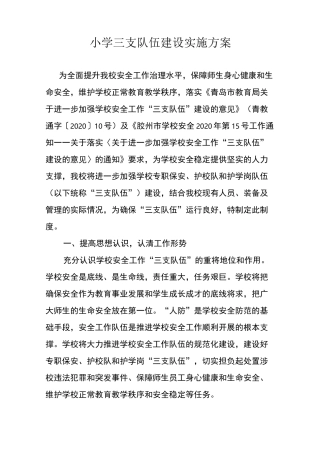 小学三支队伍建设实施方案