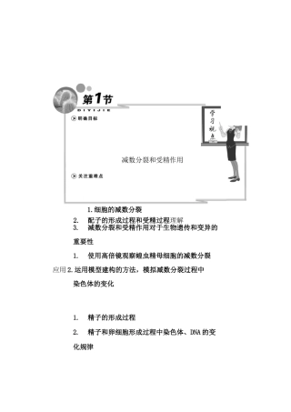 减数分裂和受精作用教案