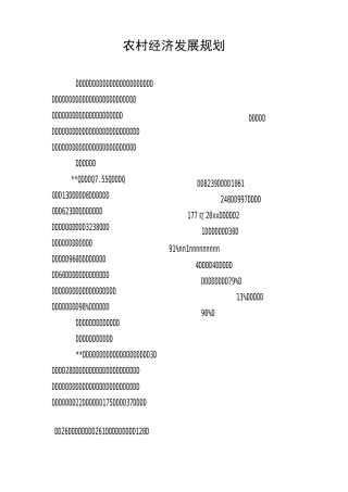 农村经济发展规划