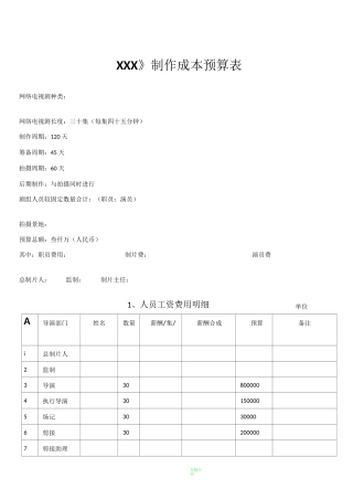 网剧电视剧制作预算表