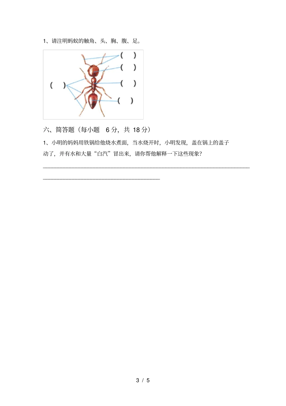 教科版三年级科学上册期中试卷免费_第3页