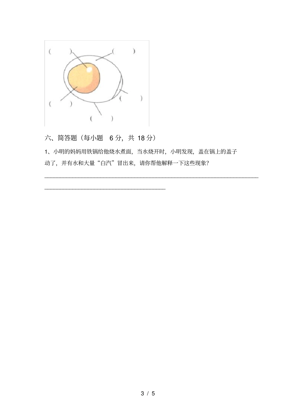 教科版三年级科学上册期中试卷及答案完美版_第3页
