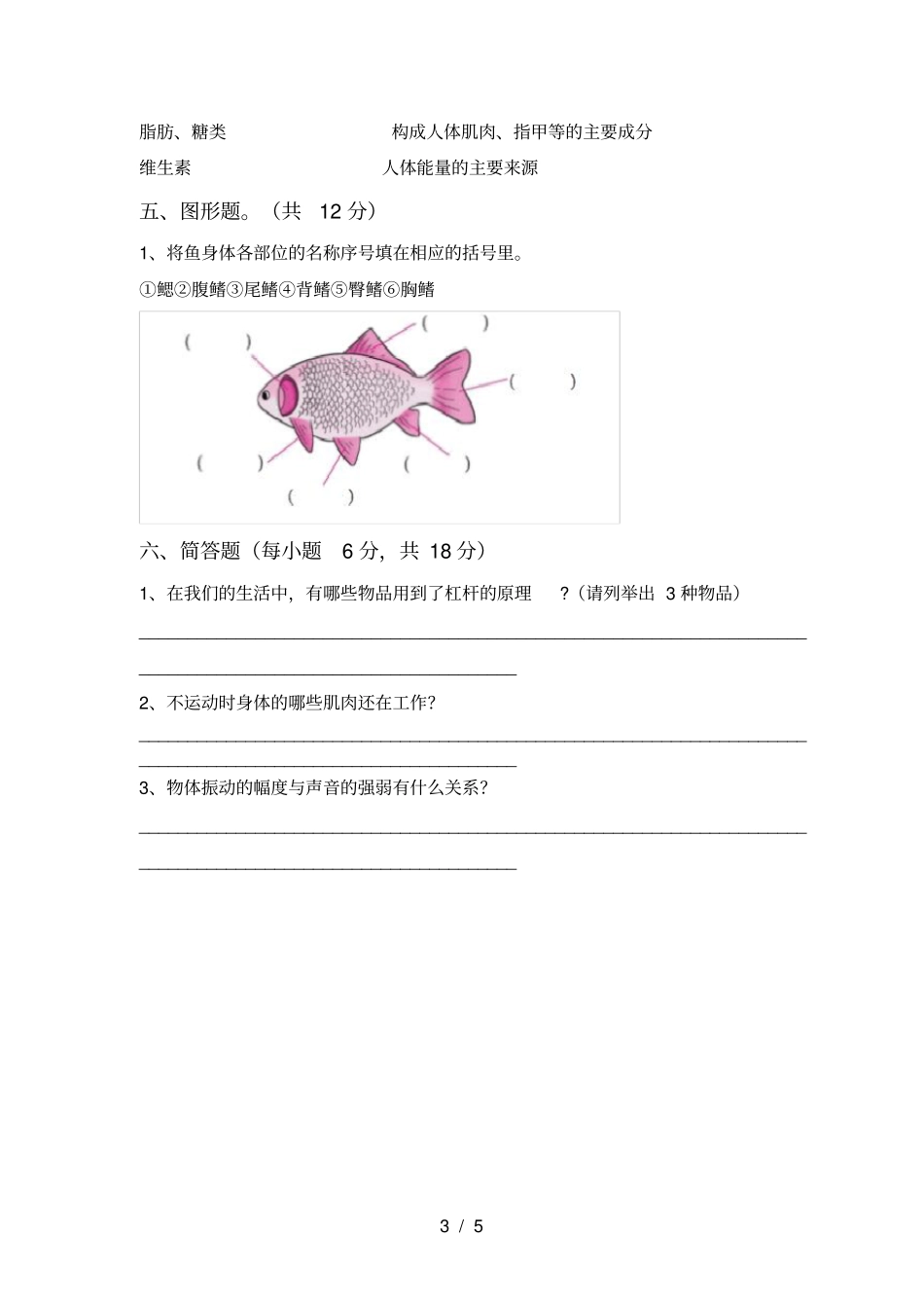 教科版四年级科学上册期末试卷及答案【完美版】_第3页