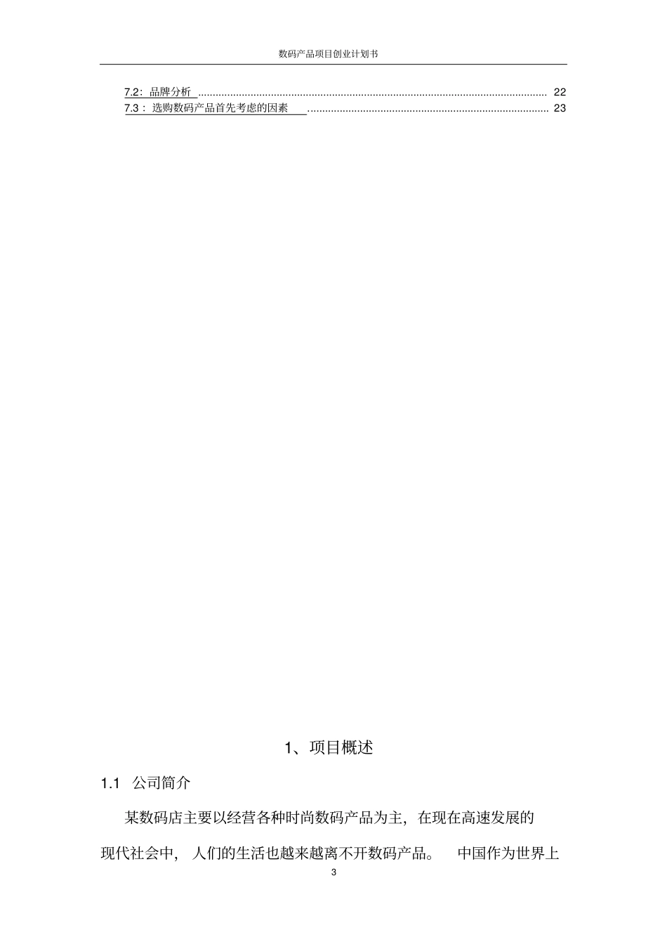 数码产品项目创业计划书_第3页