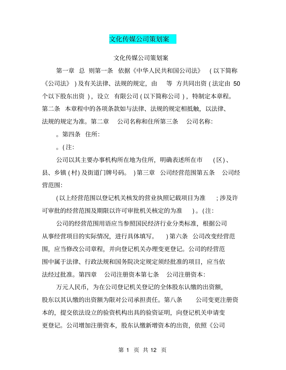 文化传媒公司策划案_第1页