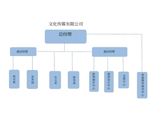 文化传媒公司组织结构