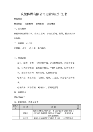 文化传播公司运营商业计划书