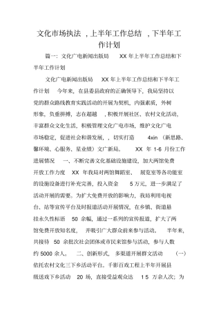 文化场执法,上半年工作总结,下半年工作计划