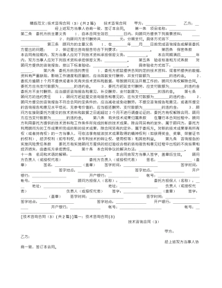 技术咨询合同(3)