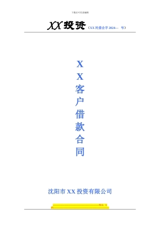 投资公司借款合同样本