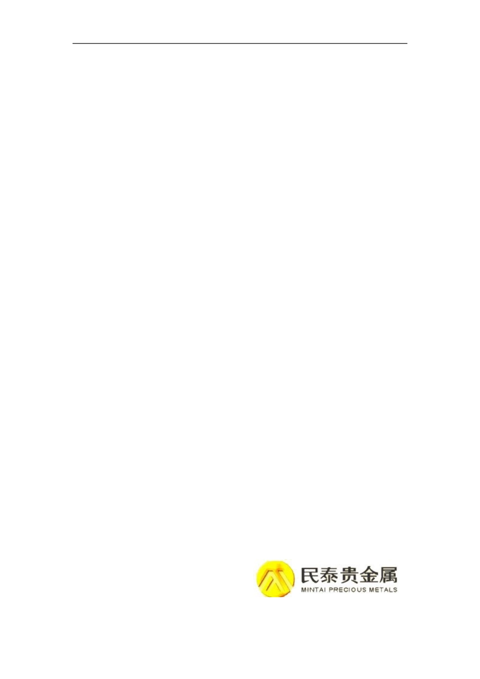 投资计划书---马勒_第1页