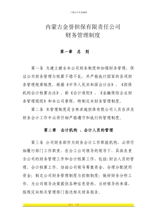 担保财务制度-Word-文档-