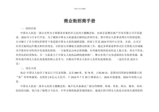 招商方案案例-南京女人街