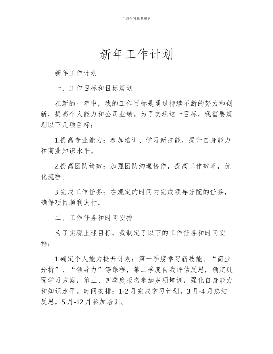 新年工作计划_第1页