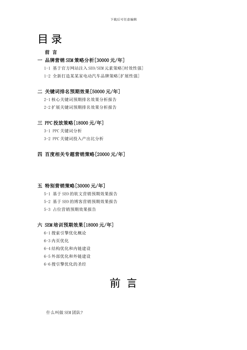 某某家电动汽车SEM效果方案_第2页