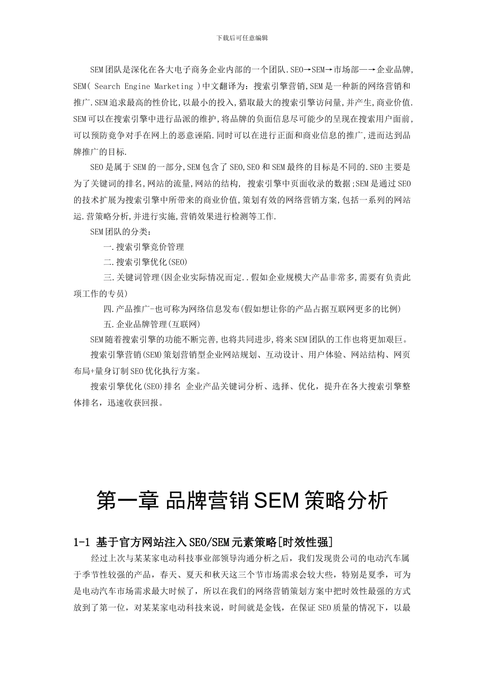 某某家电动汽车SEM效果方案_第3页