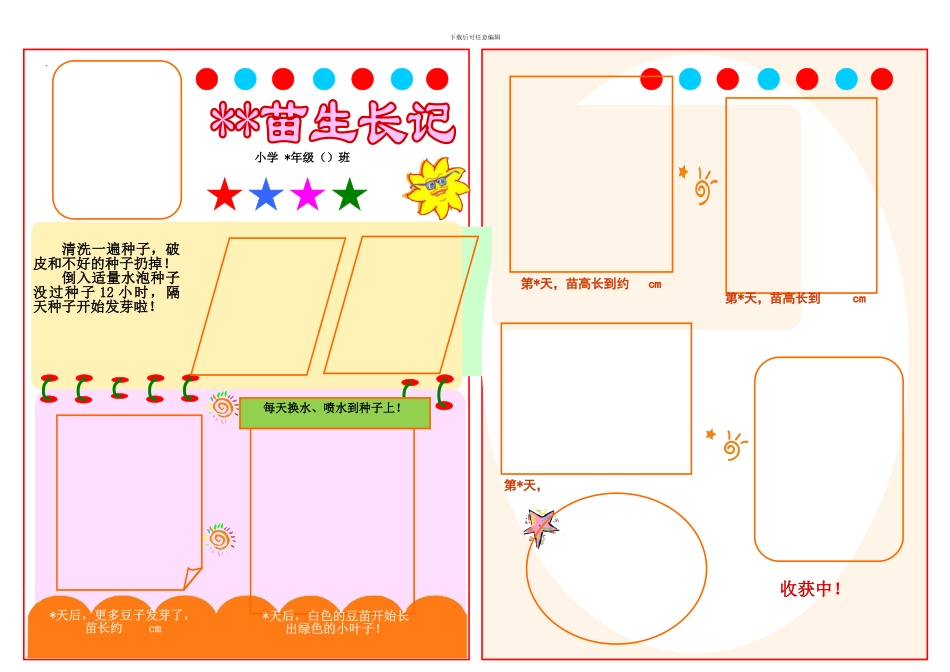 植物生长记---小报模板_第1页