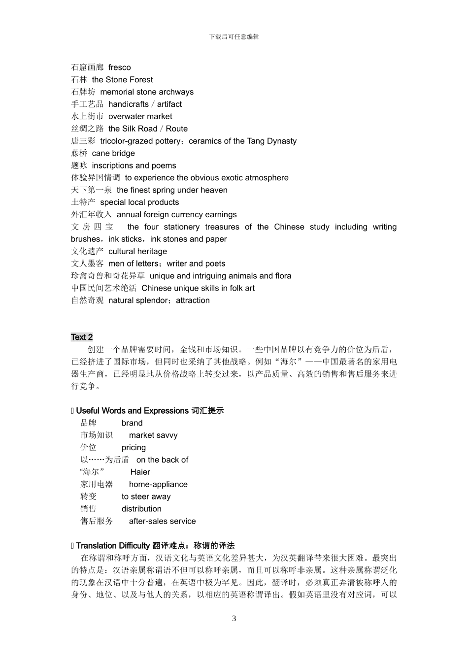 汉英翻译基础-主题翻译_第3页