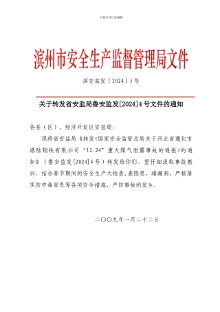 滨州市安全生产监督管理局文件.