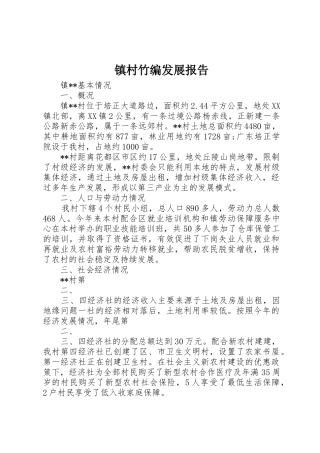 镇村竹编发展报告_1