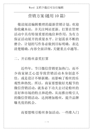 营销方案(通用10则)