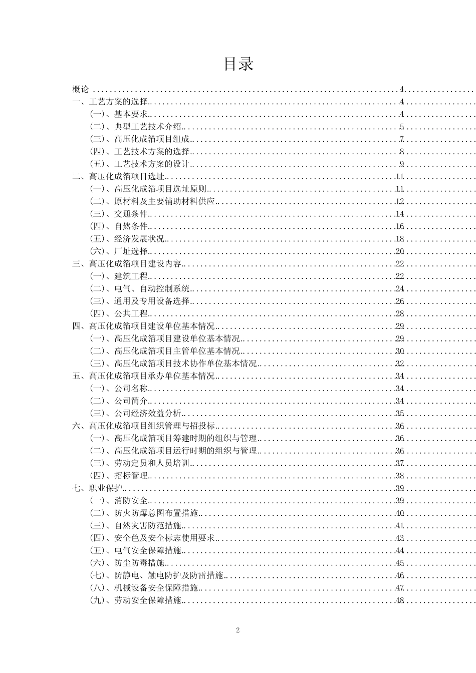 2023年高压化成箔项目风险可行性方案_第2页