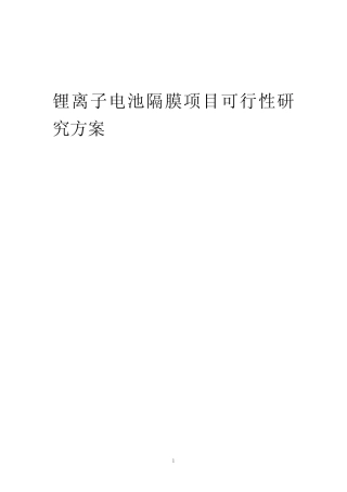 2023年锂离子电池隔膜项目可行性研究方案