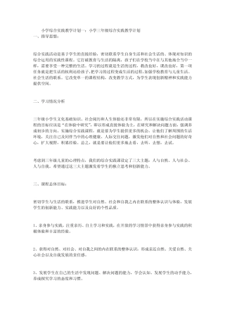 小学综合实践教学计划3则
