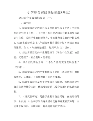 小学综合实践课标试题(两套)