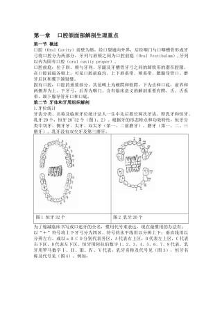 2025年口腔颌面部解剖生理重点