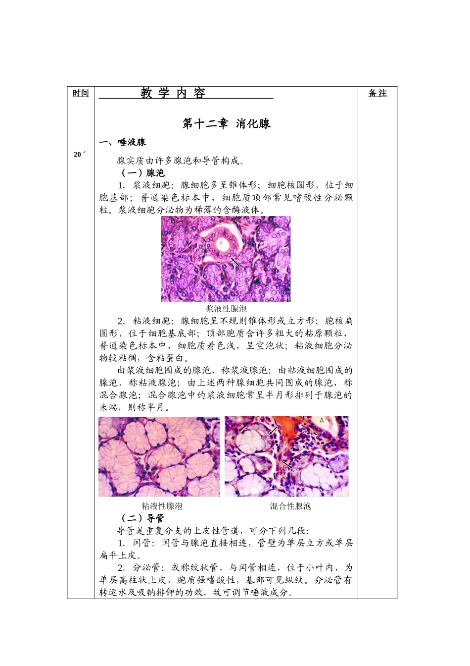 2025年组织学和胚胎学教案消化腺人卫版_第2页
