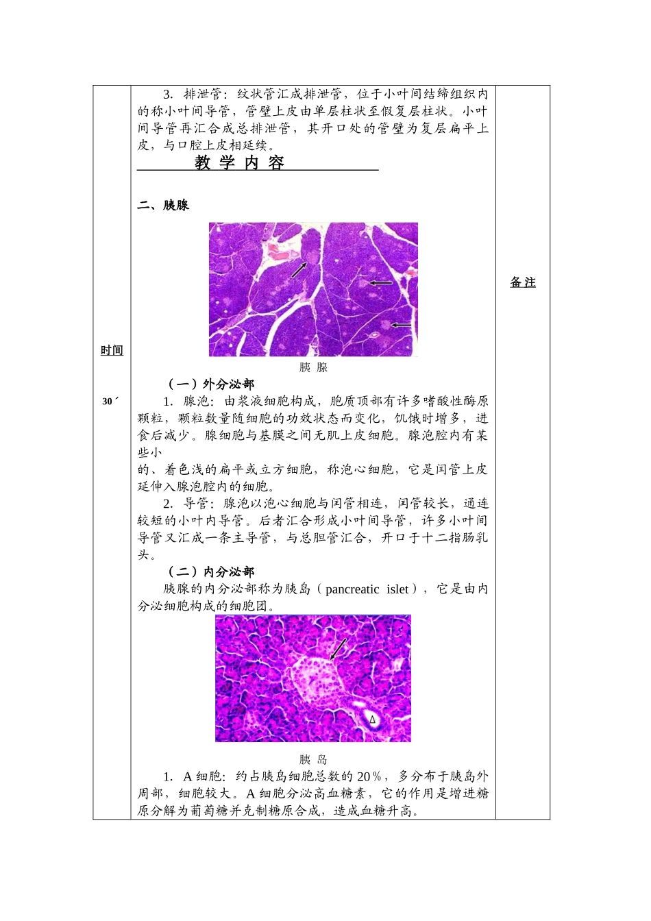 2025年组织学和胚胎学教案消化腺人卫版_第3页
