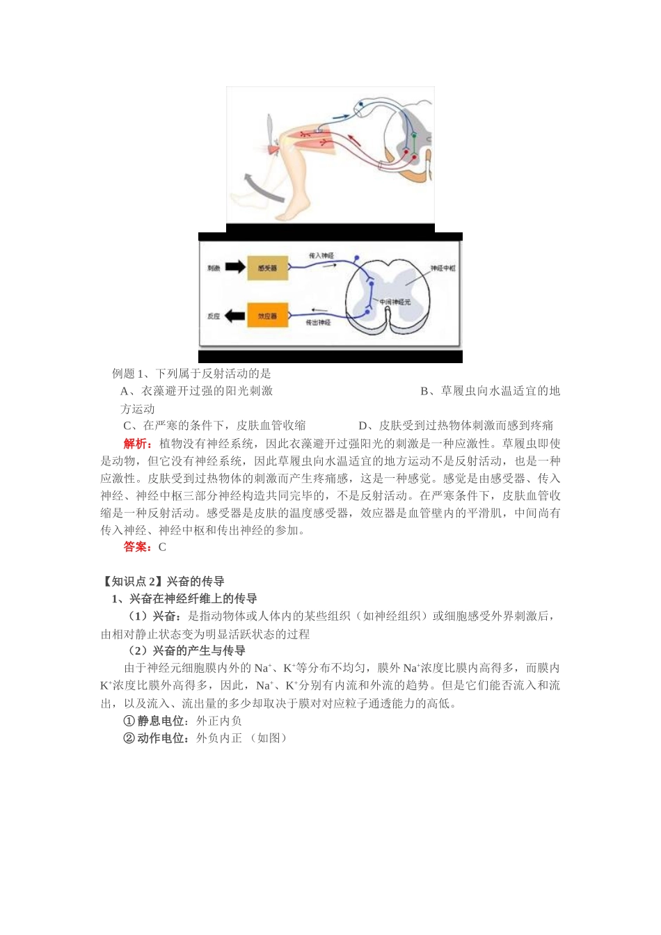 2025年人体神经调节的结构基础及调节过程教案_第3页