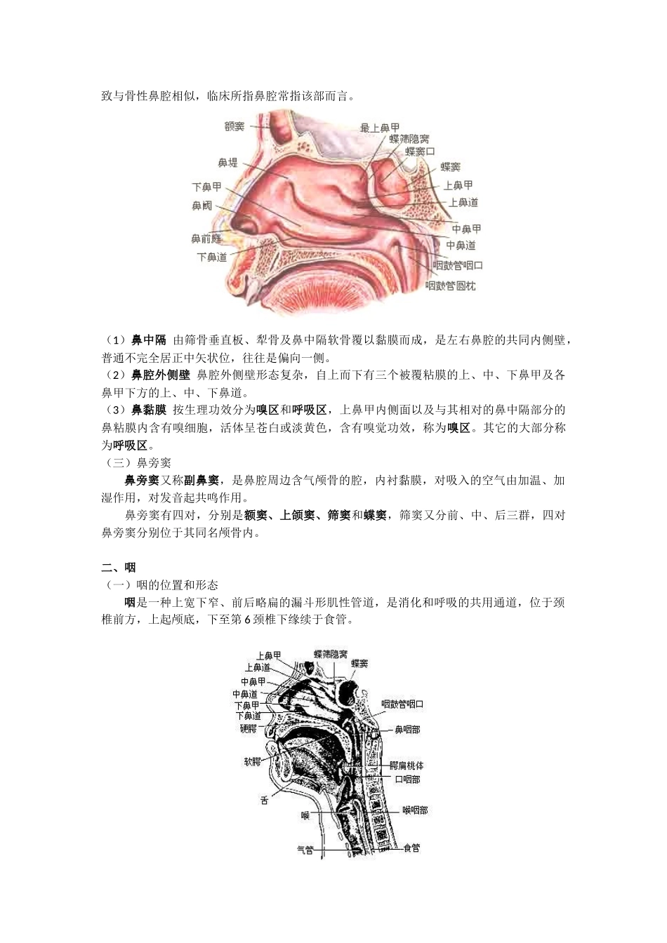 2025年医学笔记人体解剖学之呼吸系统_第3页