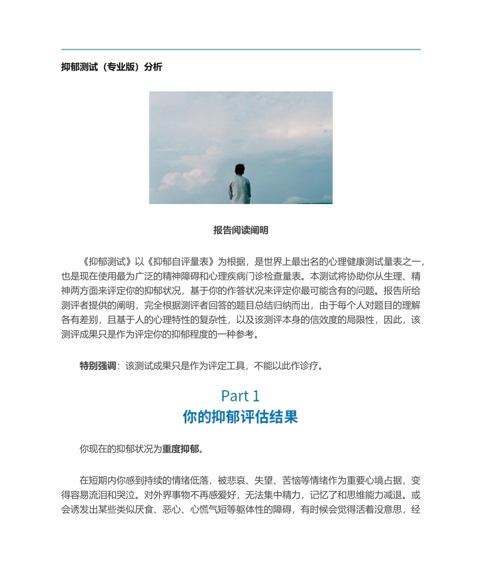2025年抑郁测试专业版分析报告_第1页