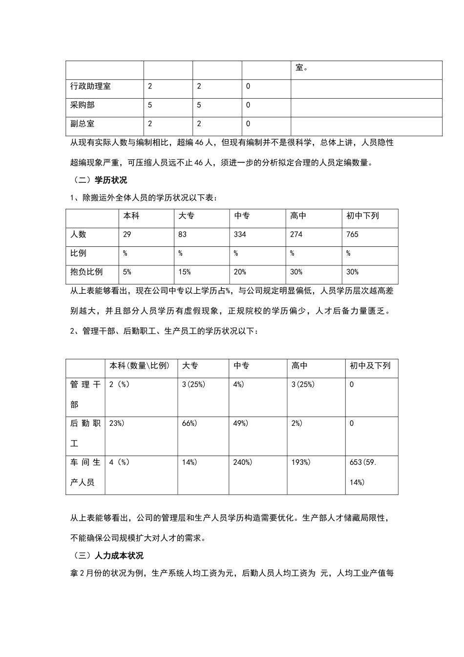 2025年人力资源优化方案_第2页