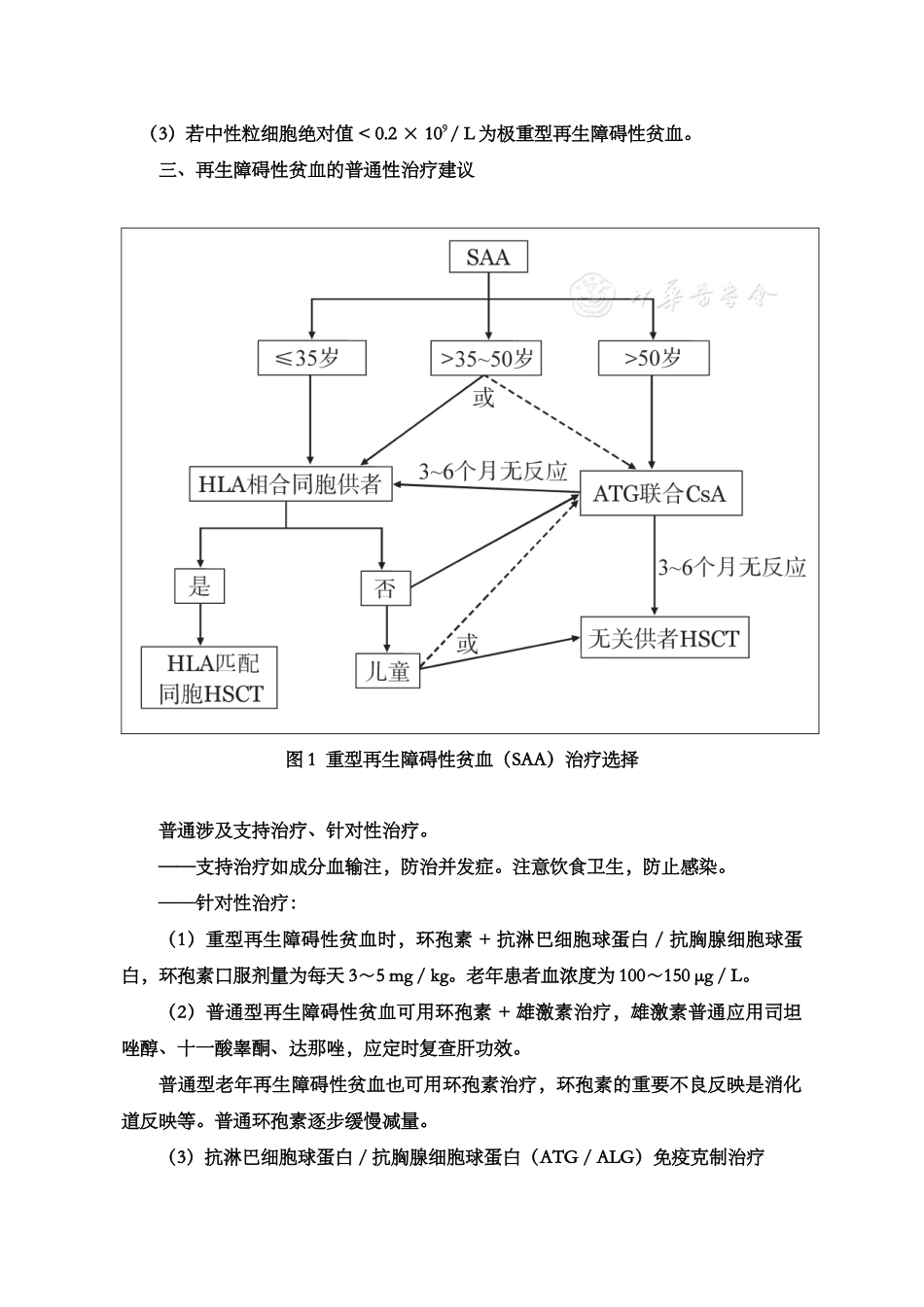 2025年再生障碍性贫血本_第3页